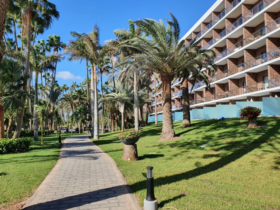 Gartenanlage Hotel Riu Palace Oasis