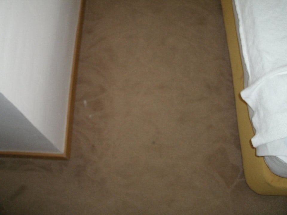 Flecken auf Teppich Ladonia Hotels Adakule