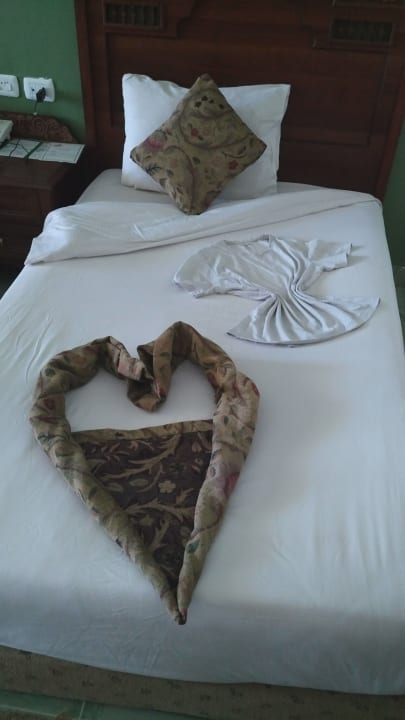 Zimmer Jasmine Palace Resort & Spa