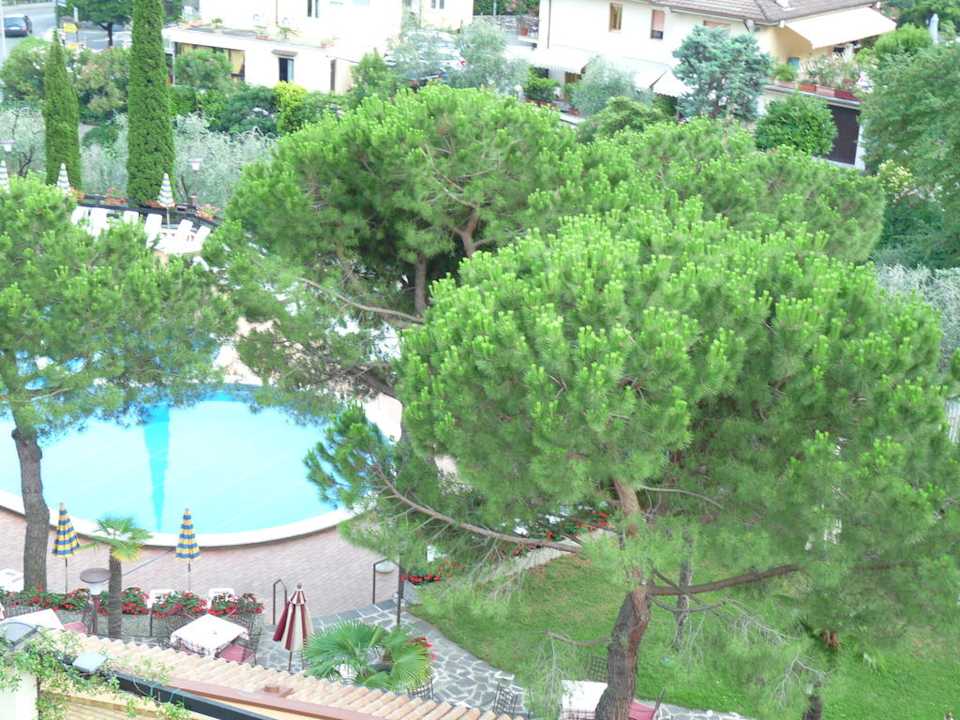 Blick auf den Pool im EG Hotel Caravel