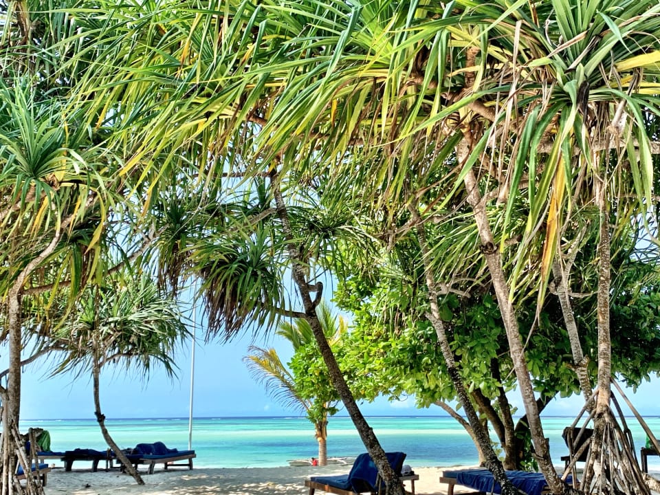 Strand Neptune Pwani Beach Resort & Spa