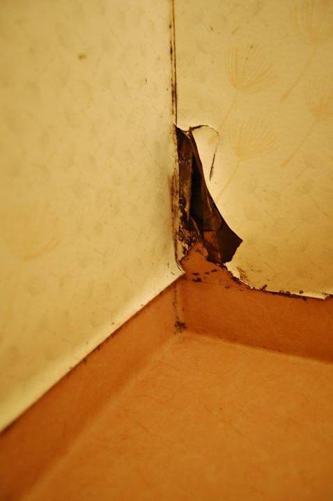 Ecke im Sanitärraum Pension Björnen