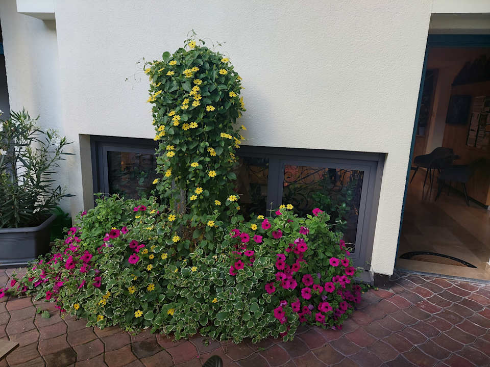 Gartenanlage Vital-Hotel Post
