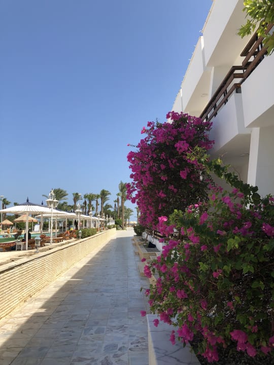 Gartenanlage The Grand Hotel Hurghada