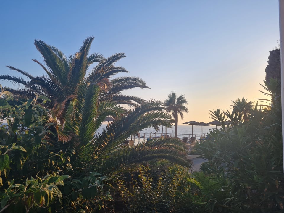 Gartenanlage Kalypso Cretan Village Sense Resort & Spa