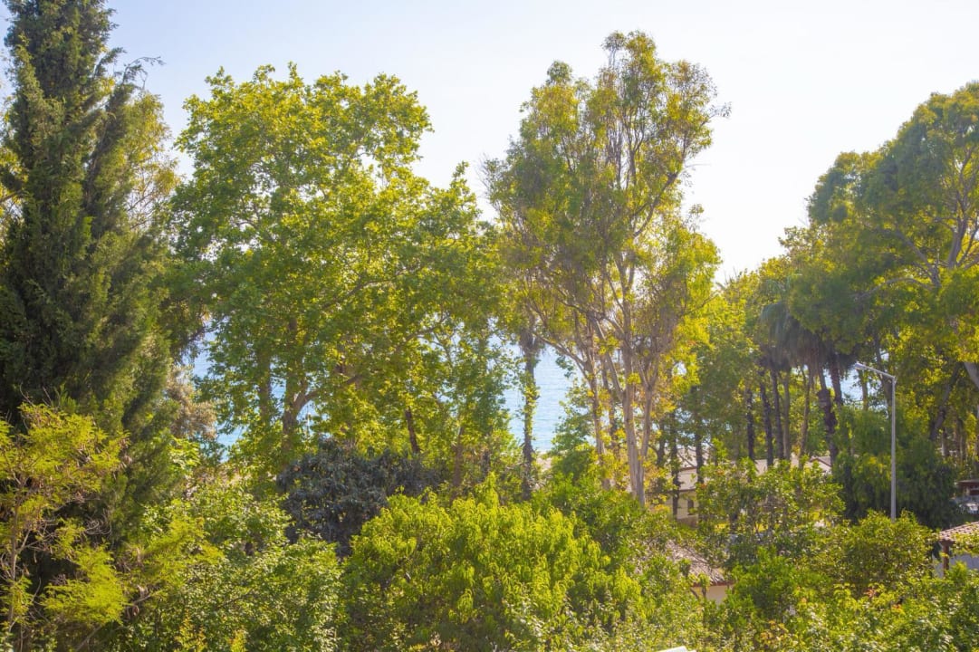 Gartenanlage Aroma Butik Hotel