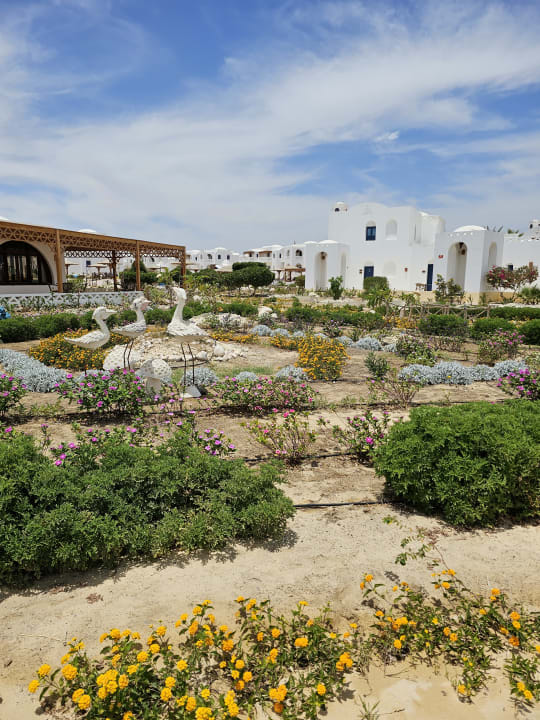 Außenansicht Beach Safari Nubian Resort