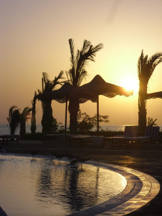 Sonnenaufgang am Pool Fantazia Resort Marsa Alam