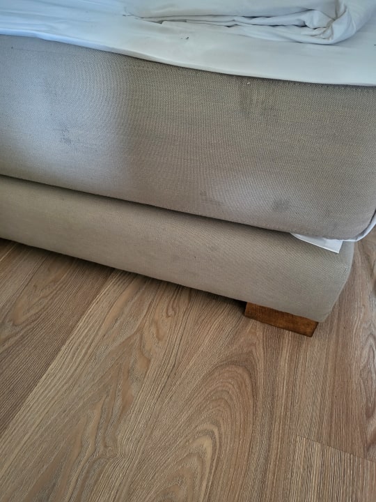 Zimmer Well Palace Side