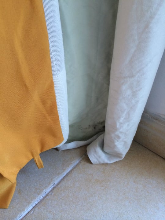 Überall Schimmel Blau varadero - Adults only