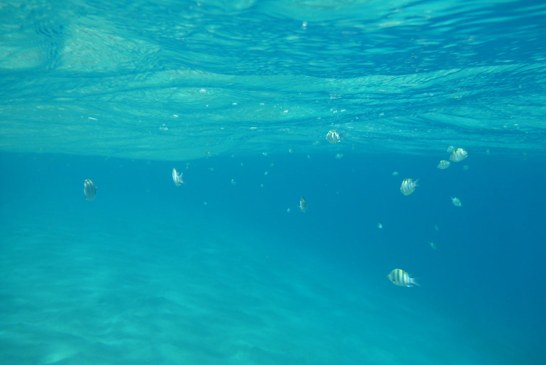 Strand Stella Garden Resort & Spa, Makadi Bay