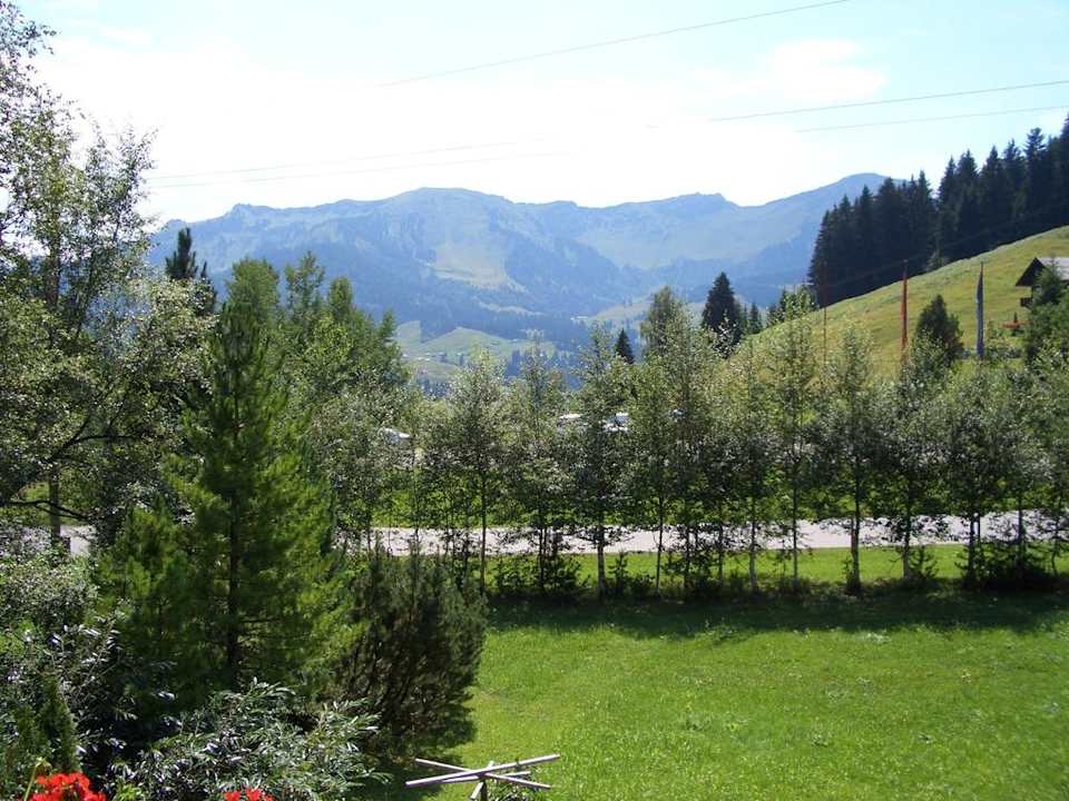 Ausblick vom Zimmer Mooswinkel am Hochmoor
