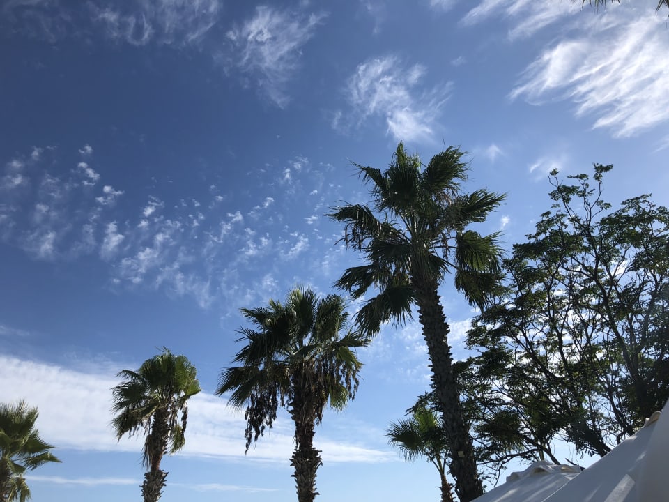 Ausblick Papillon Belvil