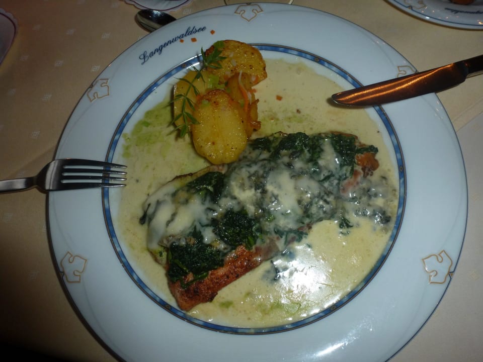 Besser kann's nicht sein Hotel Langenwaldsee