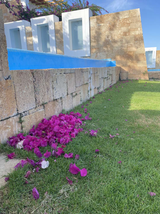 Gartenanlage Atrium Prestige Thalasso Spa Resort & Villas