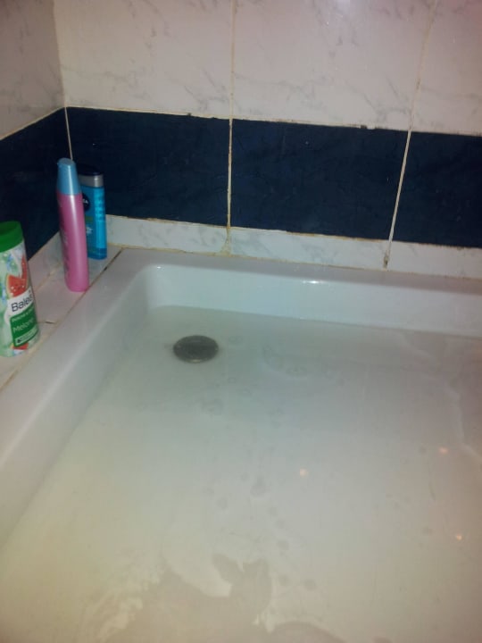 Wasser läuft nicht ab Desert Rose