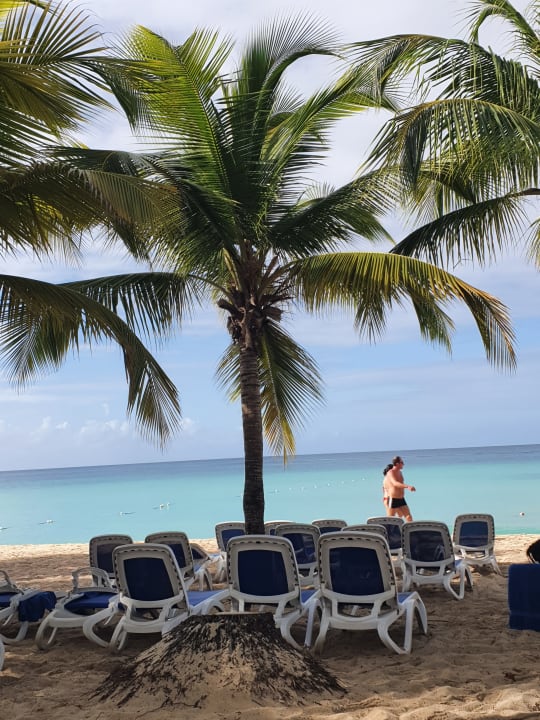 Strand Hotel Viva Dominicus Palace by Wyndham-All Inclusive Resort