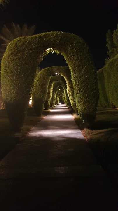 Gartenanlage Hotel JAZ Makadi Star & Spa
