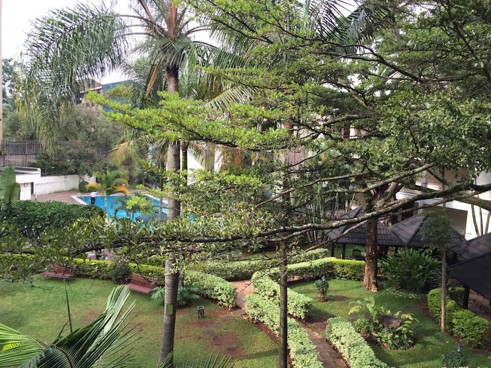 Blick auf Pool Hotel Jacaranda