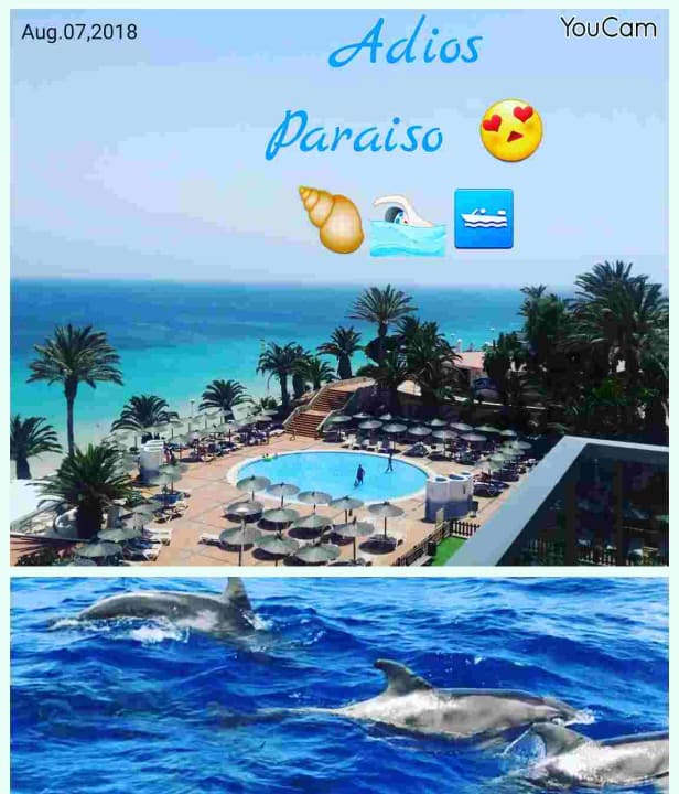 Ausblick SBH Club Paraiso Playa