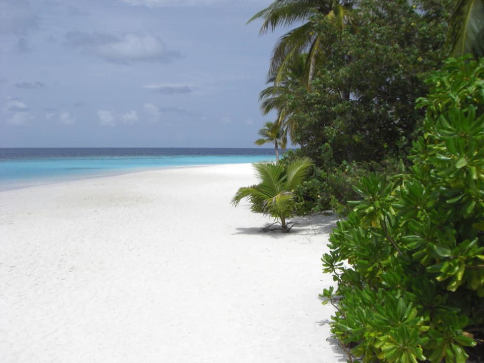 Ohne Kommentar  Angaga Island Resort