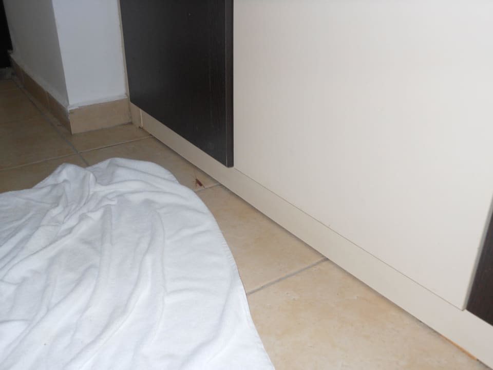 Tierchen Oz Hotels Incekum Beach