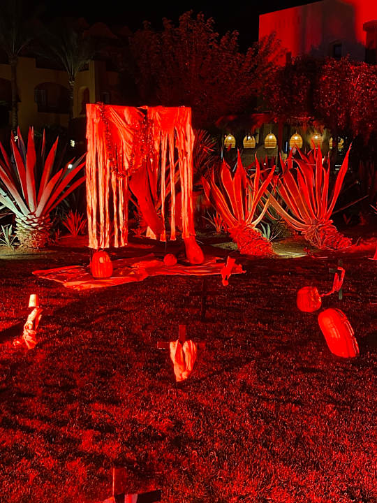 Sport & Freizeit Jaz Makadi Oasis Resort