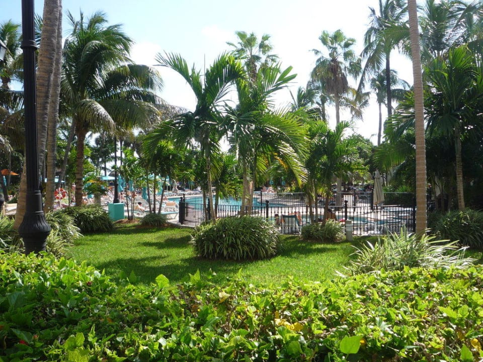 Garten mit Kinderpool Hotel Riu Plaza Miami Beach