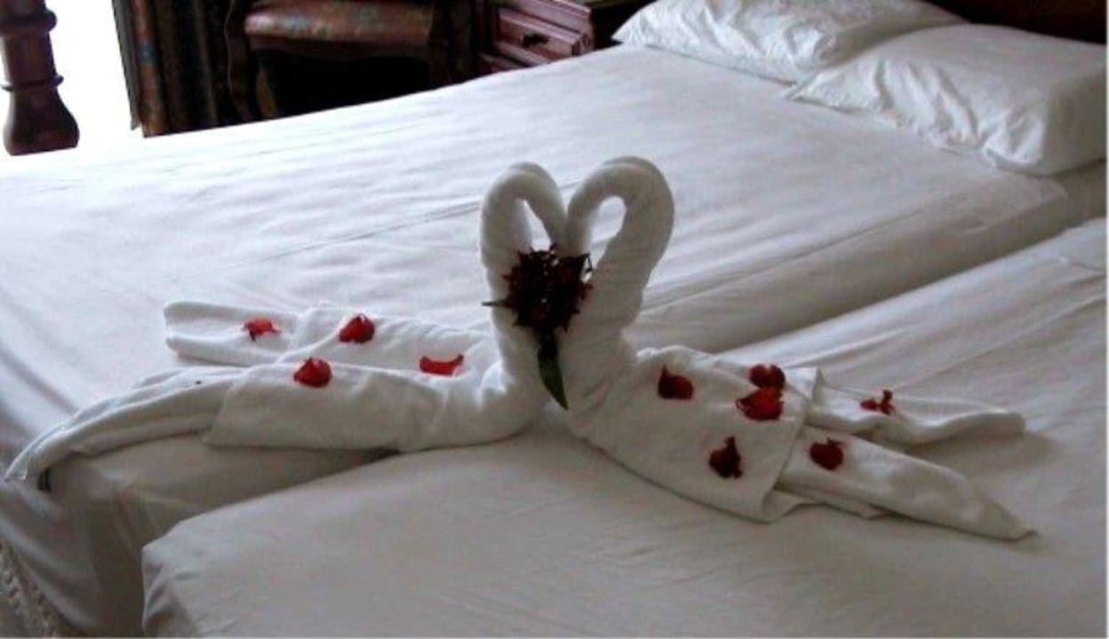 Figura hecha con toallas y petalos de flores Hotel Riu Negril