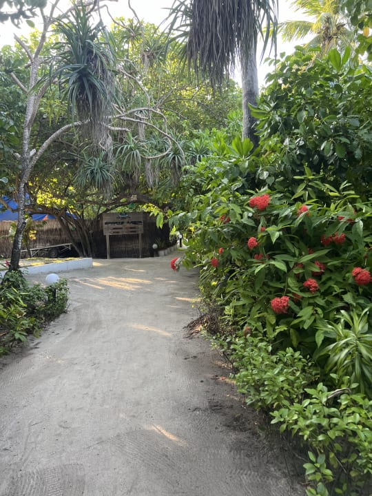 Gartenanlage Angaga Island Resort