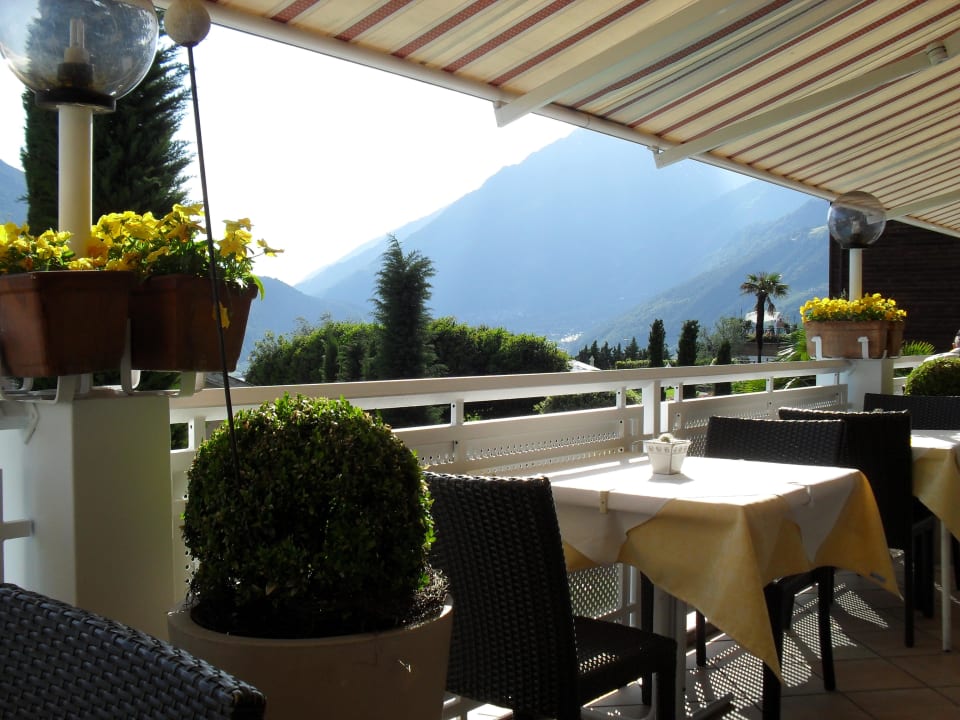 Terrasse Hotel Alpenhof