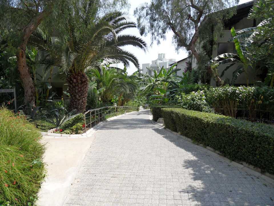 Weg zum Strand Sealife Buket Resort & Beach