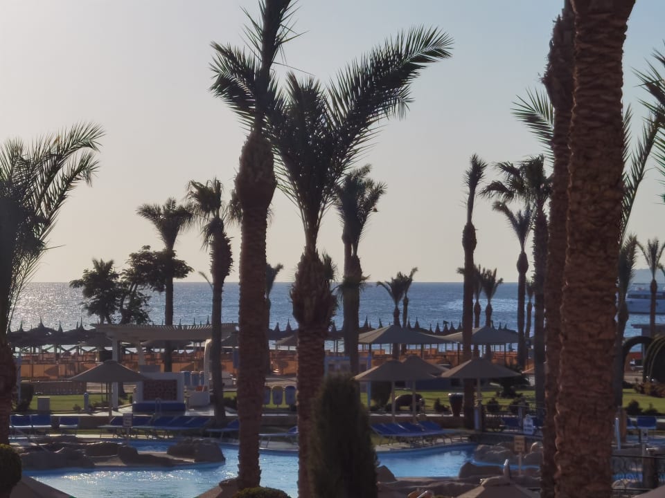 Ausblick Pickalbatros Palace Resort