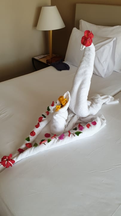 Zimmer Jaz Makadi Saraya Resort