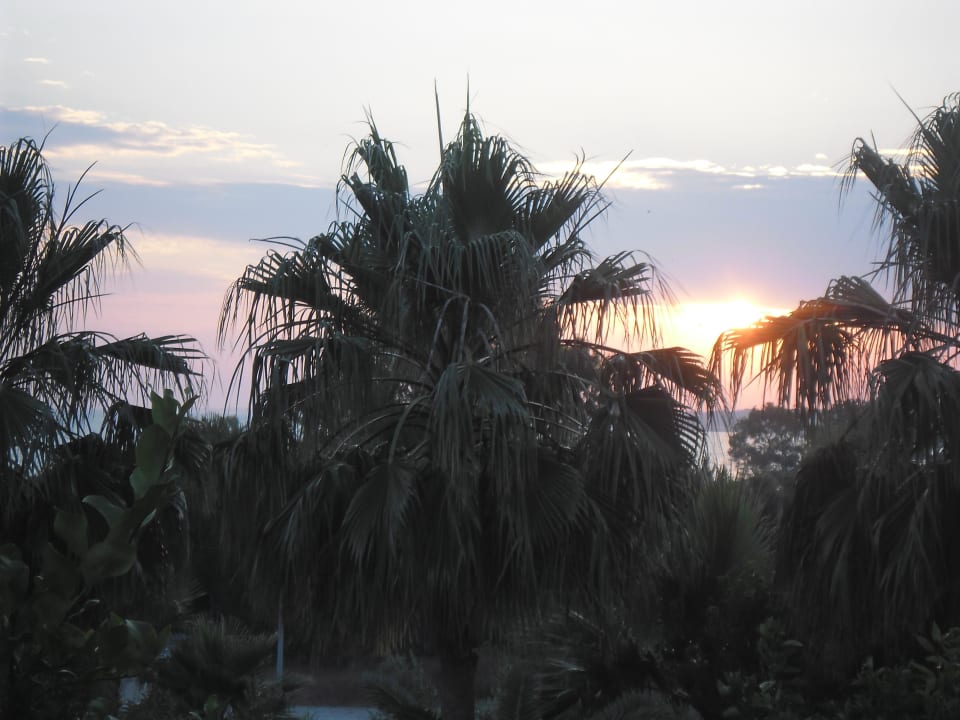 Sonne Hotel Grand Side