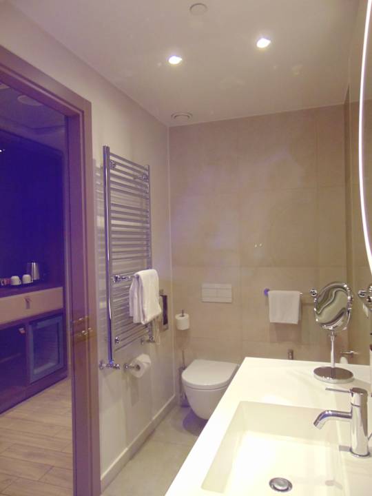 Zimmer Mercure Almaty City Center