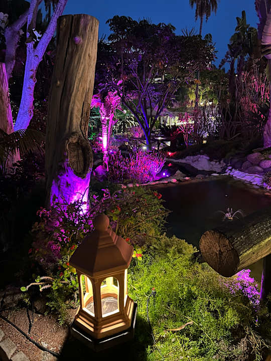 Gartenanlage Hotel Parque Tropical