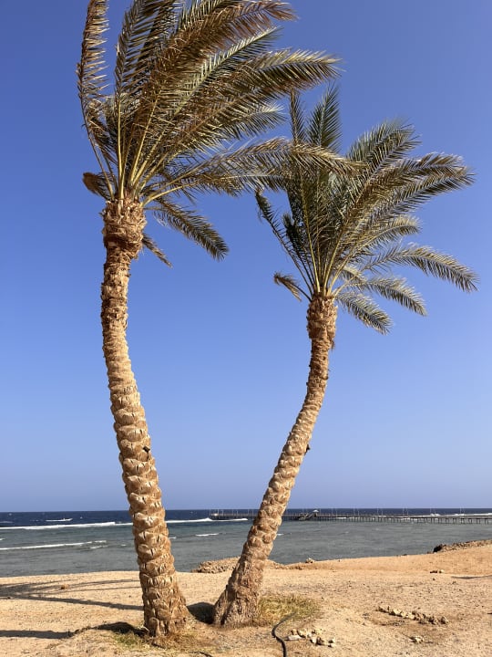 Strand Hilton Marsa Alam Nubian Resort