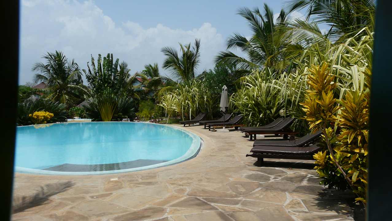 Pool African Dream Cottages