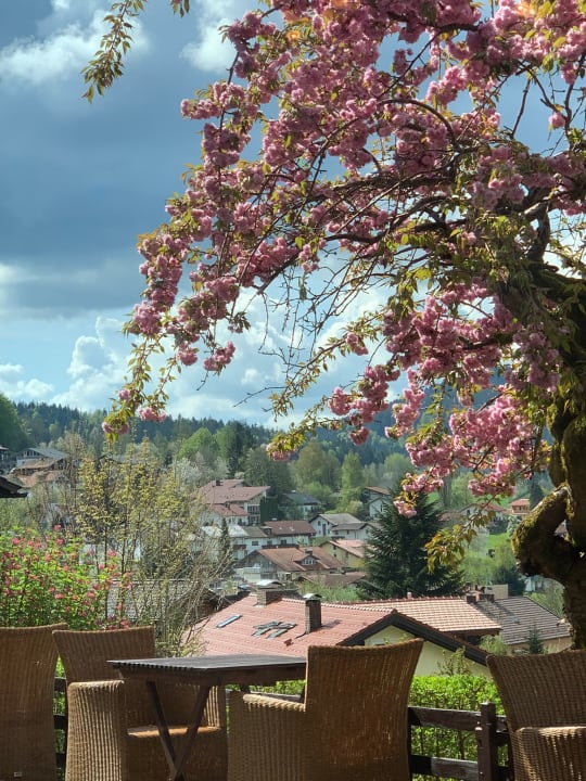 Ausblick Landhaus Meine Auszeit
