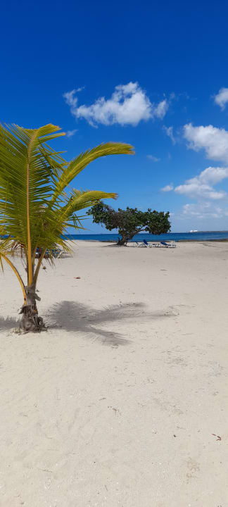 Strand Bahia Principe Luxury Bouganville