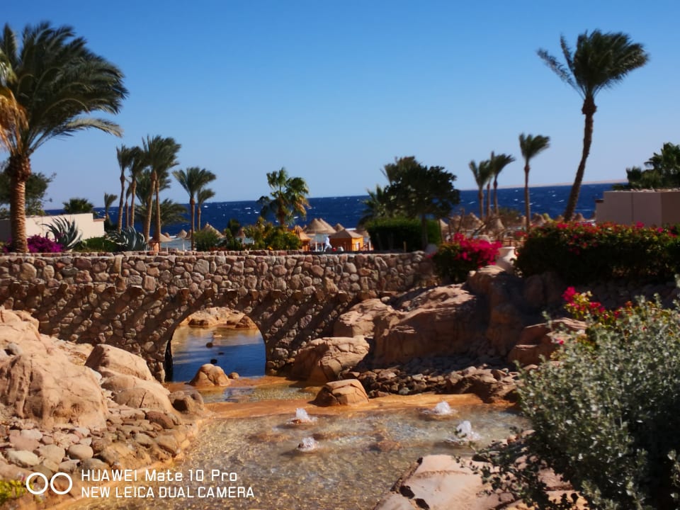 Gartenanlage Parrotel Beach Resort