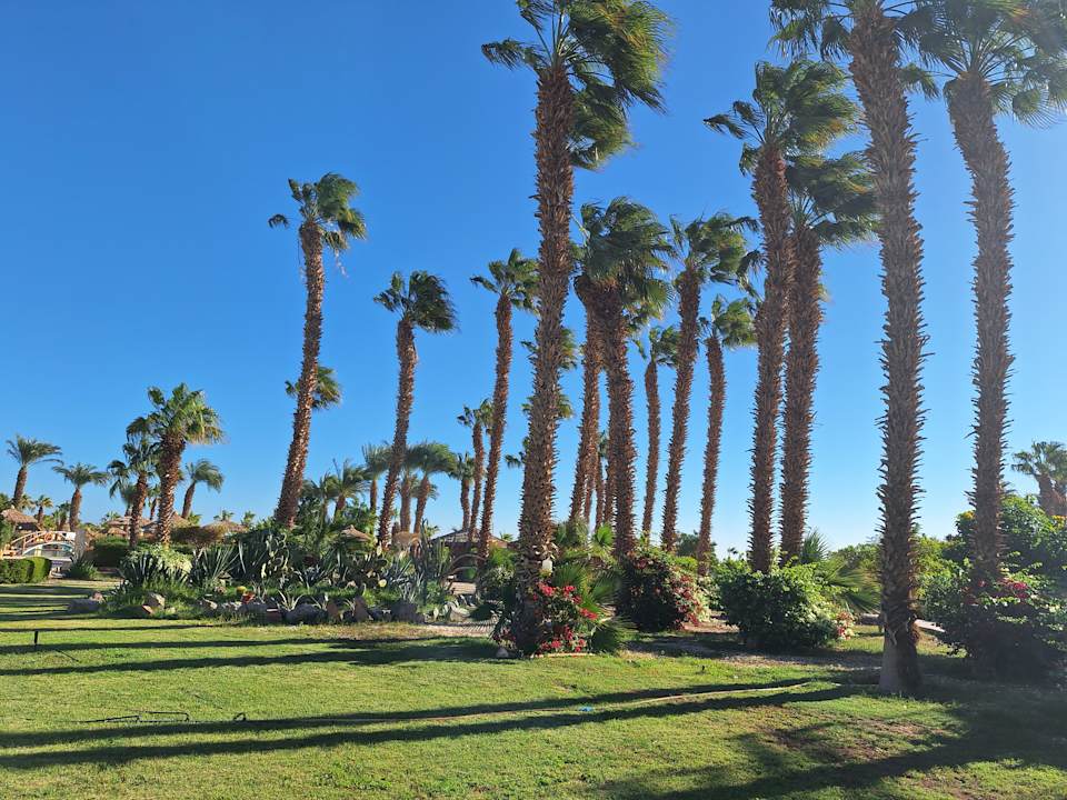 Gartenanlage Lotus Bay Beach Resort