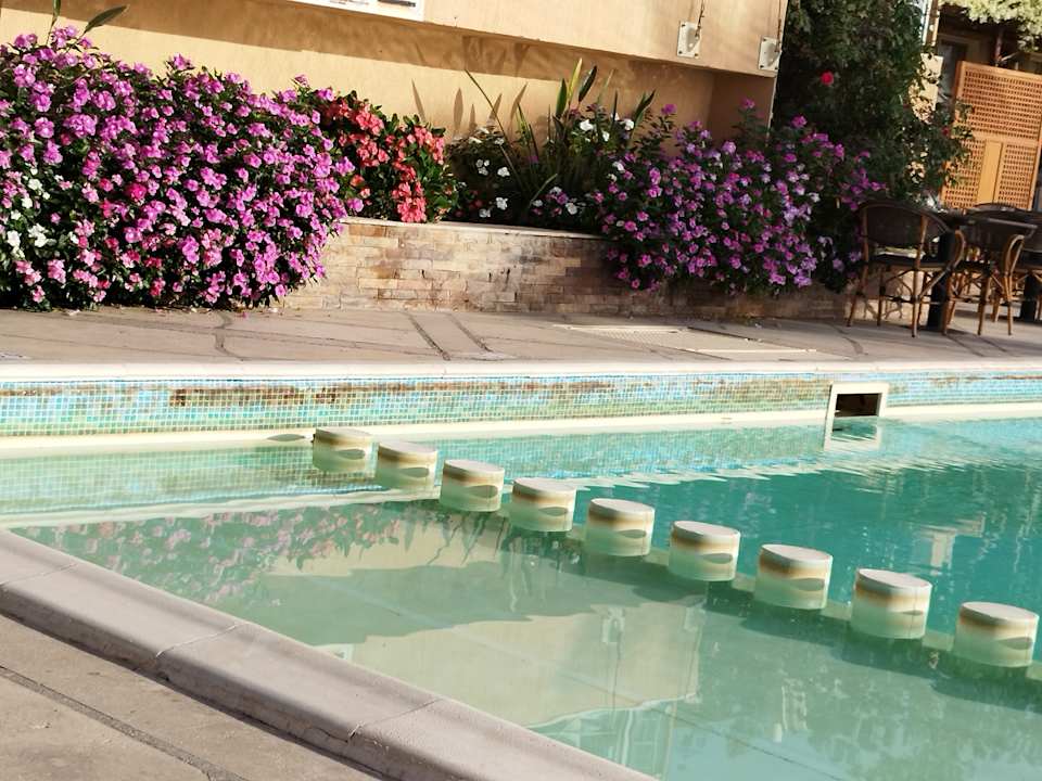 Pool Shams Prestige Abu Soma-Adults Only