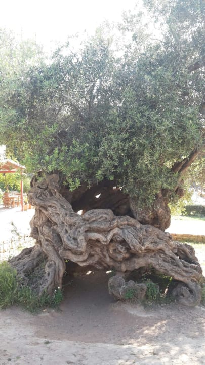 Ausblick Harmony Boutique Resort