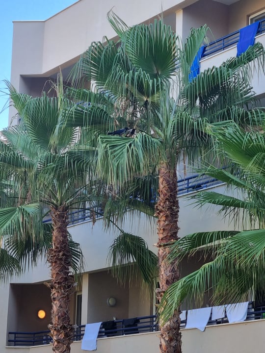 Sonstiges Labranda Alantur Resort