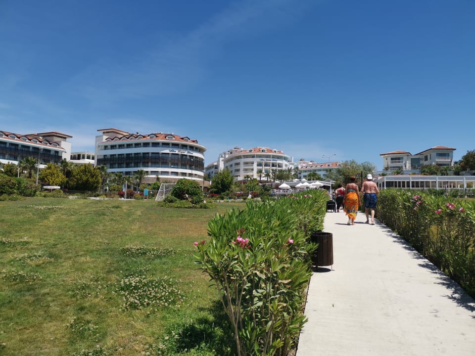 Außenansicht Alba Queen Hotel