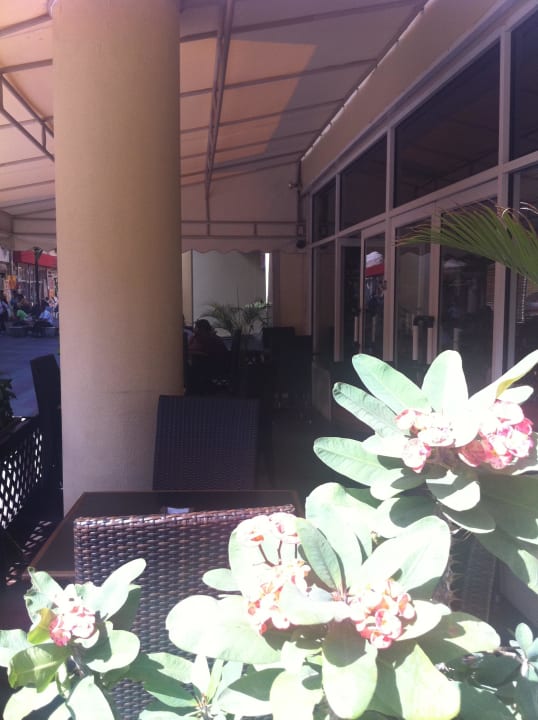 Restaurant-Terrasse Novus Plaza Hodelpa