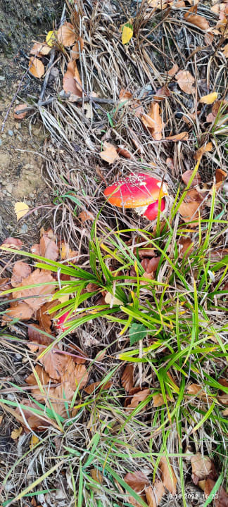 Ausblick Berghotel Hoher Knochen