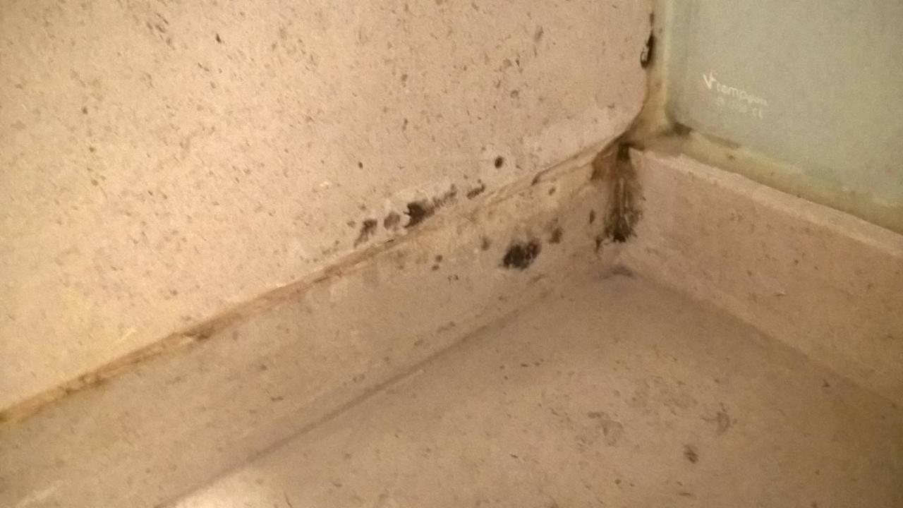 Schimmel Quinta de Sao Tadeu by Casa das Campainhas